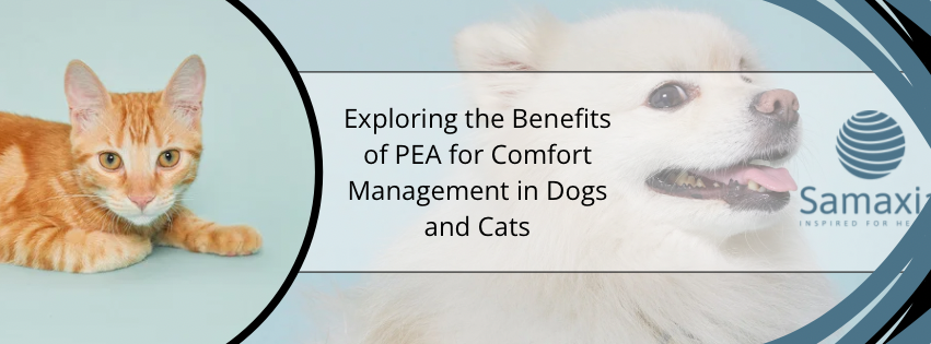 Unlocking PEA’s Potential: Boosting Comfort in Dogs & Cats Discover the role of Palmitoylethanolamide (PEA) in supporting comfort management for dogs and cats. Our latest blog delves into how PEA can enhance the well-being of pets as part of a holistic care approach. Learn about the potential benefits of integrating PEA into your pet care routine, with insights tailored for UK veterinary professionals. Stay informed on natural ways to maintain pet comfort.