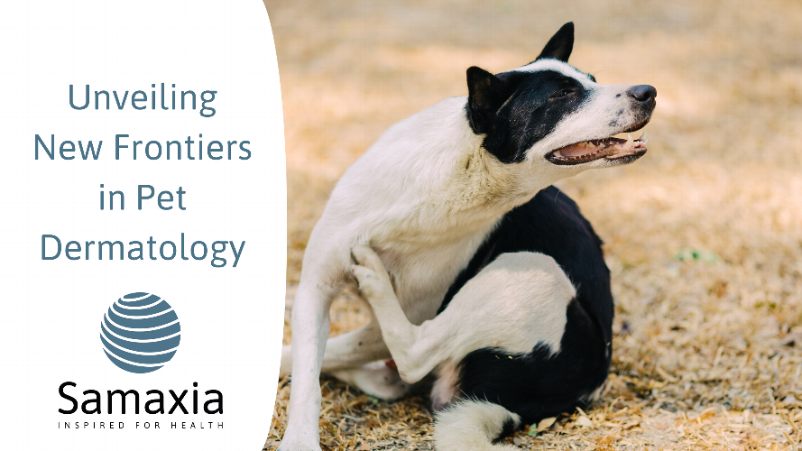 Scratch the Itch: Unveiling Breakthroughs in Pet Skin Health Discover the latest hot topics regarding pruritis in pet dermatology with a deep dive into cutting-edge treatments for skin health by Davide Immediato DVM, PhD, GPCert (Derm), MRCVS. Learn how these assessments and insights can enhance pet comfort and well-being. Click to read more and transform pet's skin care routine!